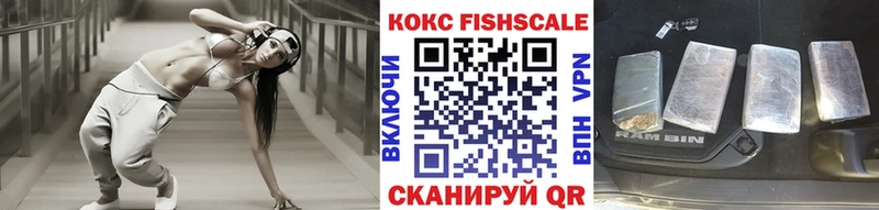 купить наркоту  Козловка  Кокаин Fish Scale 